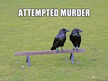 attempted_murder